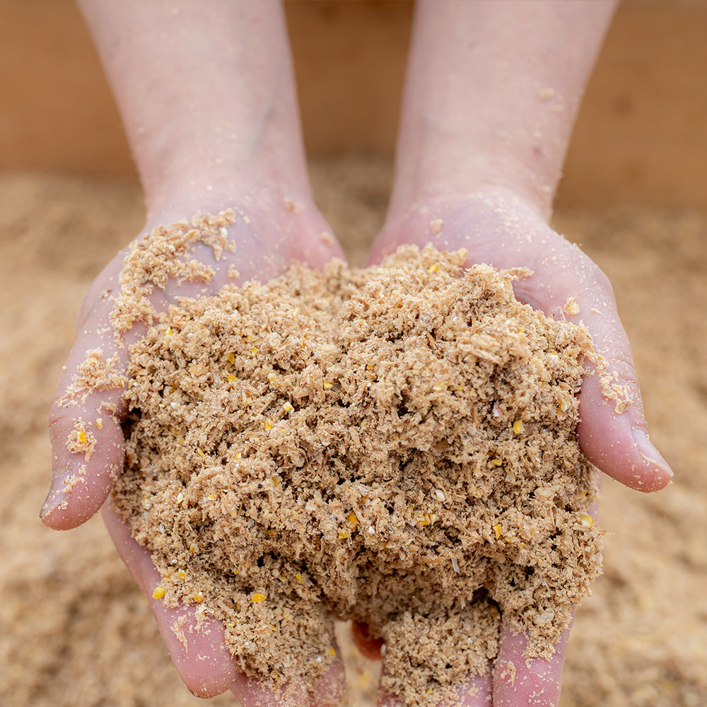 【贈答用】恩卵10個