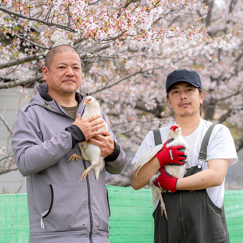 【贈答用】恩卵10個