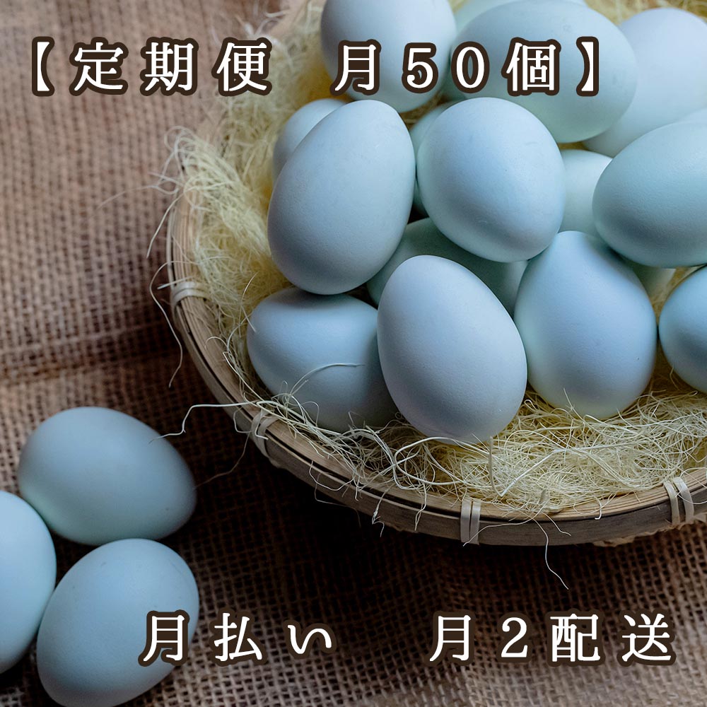 ★【定期便 月50個】ふじよだブルー　月払い/月2配送