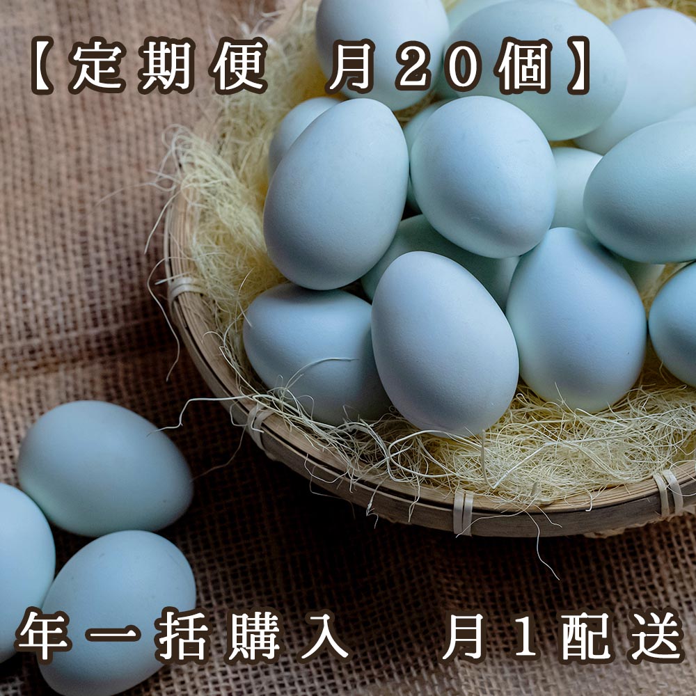 【定期便 月20個】ふじよだブルー　年一括購入/月1配送