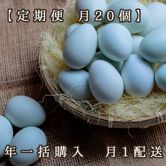 【定期便 月20個】ふじよだブルー　年一括購入/月1配送