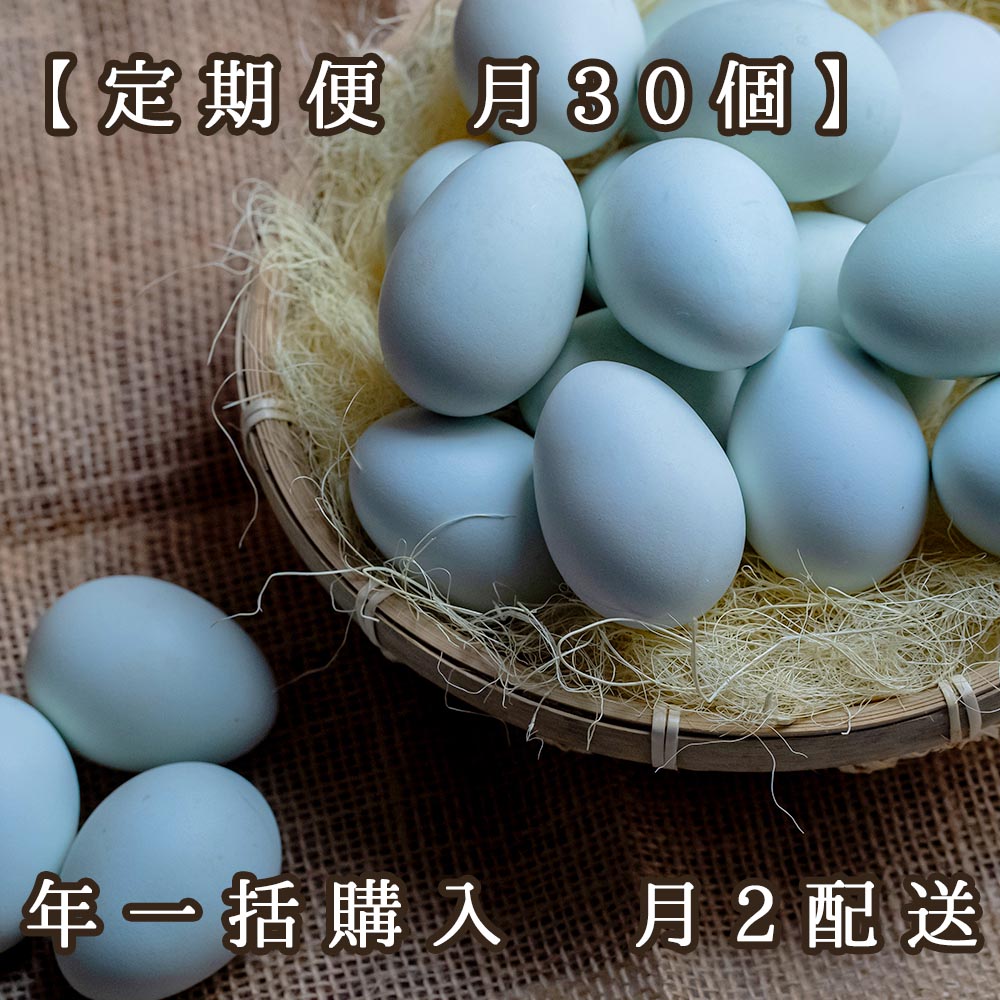 【定期便 月30個】ふじよだブルー　年一括購入/月2配送